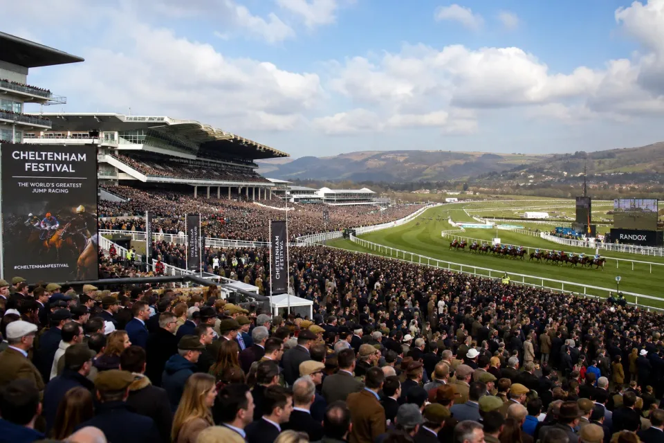 Cheltenham Festival packages