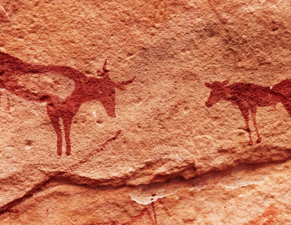Red ochre petroglyphs of two horned animals painted on a textured, light brown rock surface.