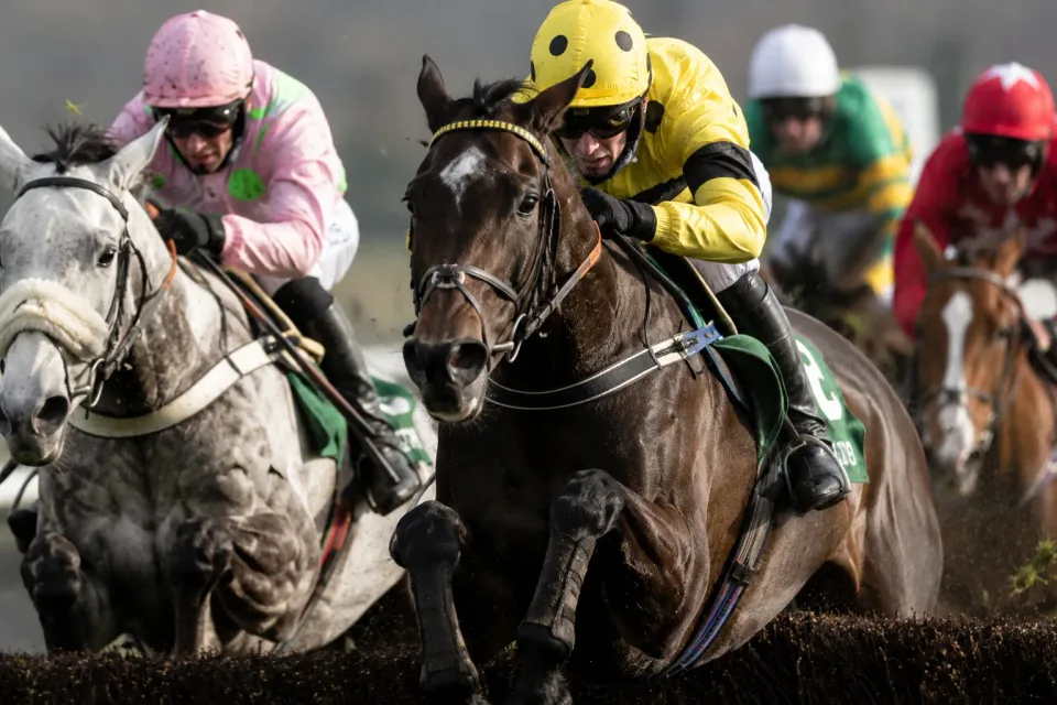 Cheltenham Festival packages
