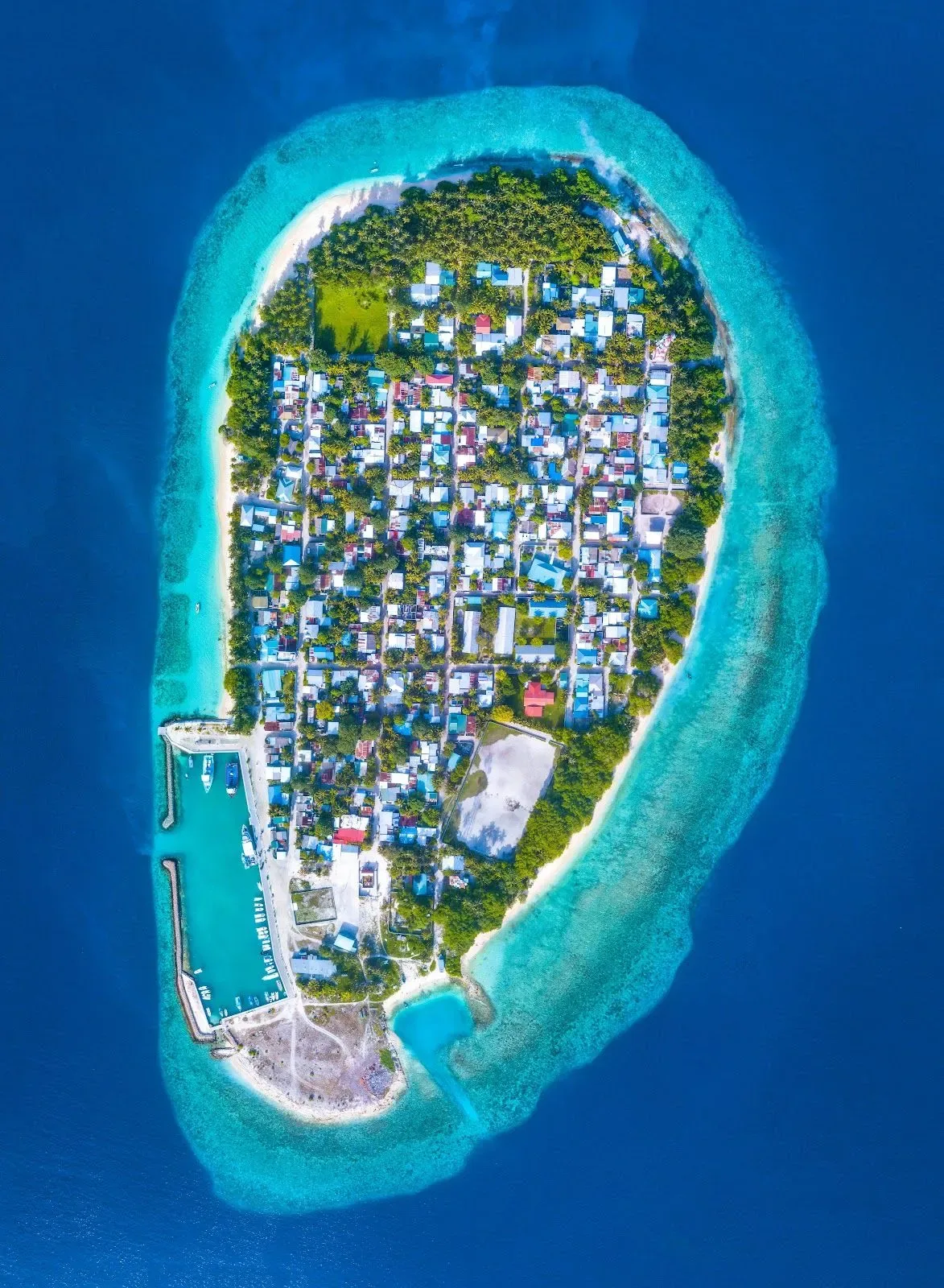 Aerial view of an island in the Maldives